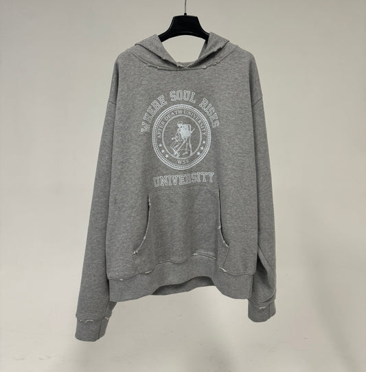 WSR university hoodie